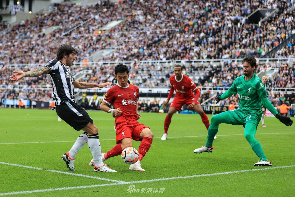 起了广泛关 起了广泛关